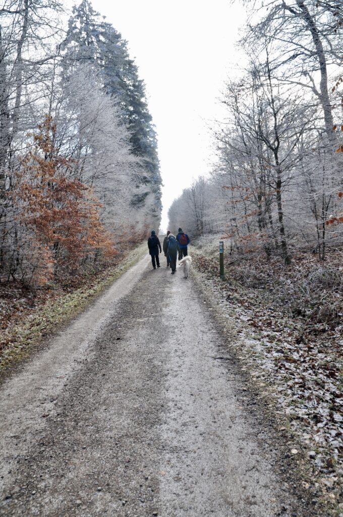 winter-wandern