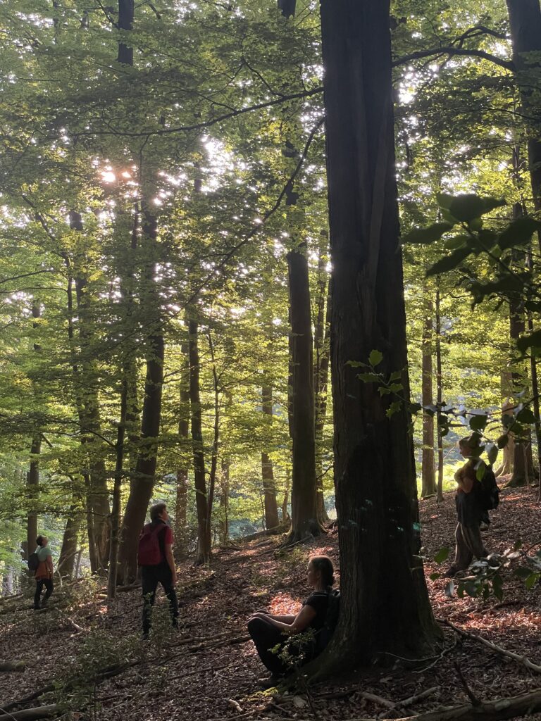wandern-bild-meditative