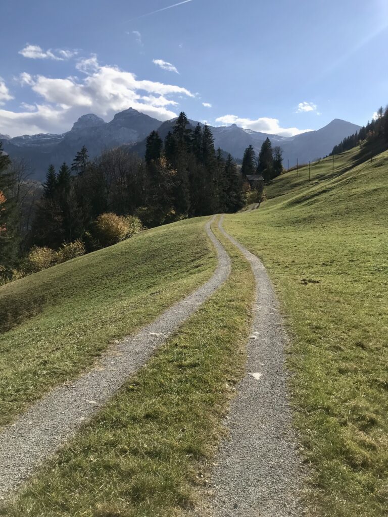 Bergen-wanderweg