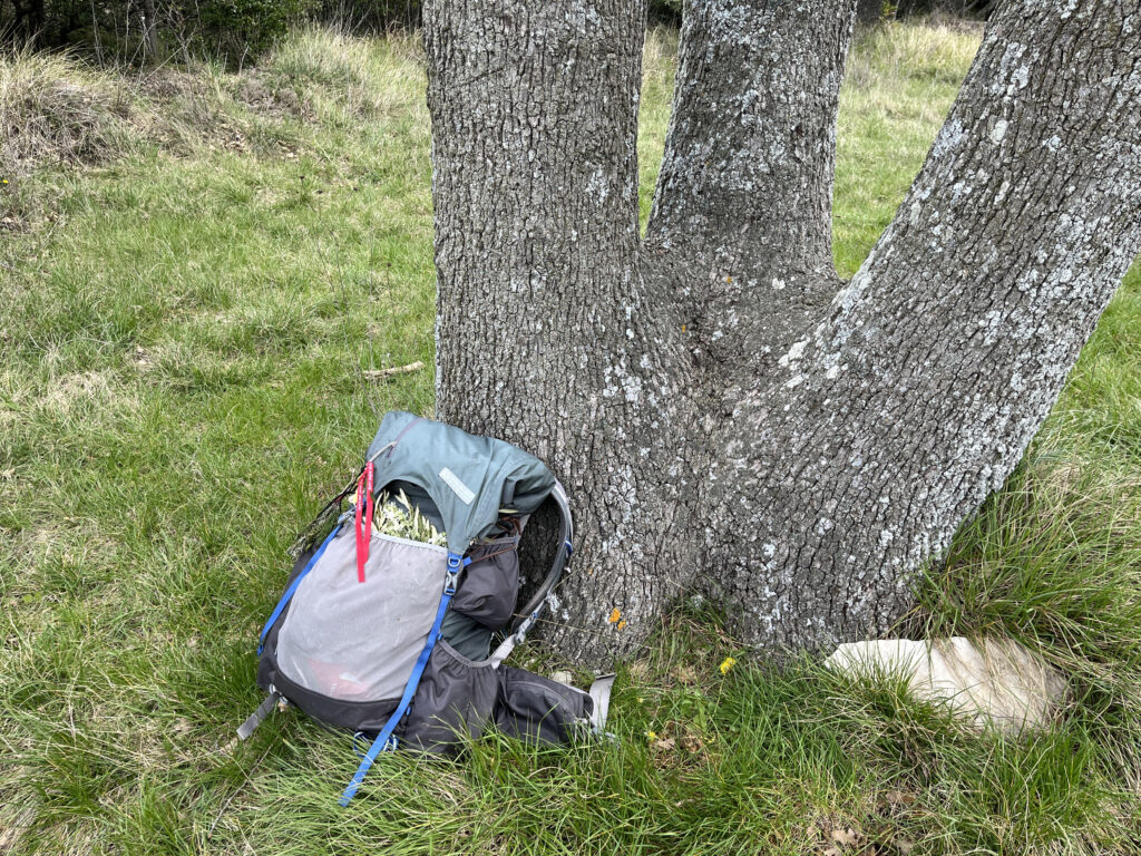 rucksack-wandern-bild