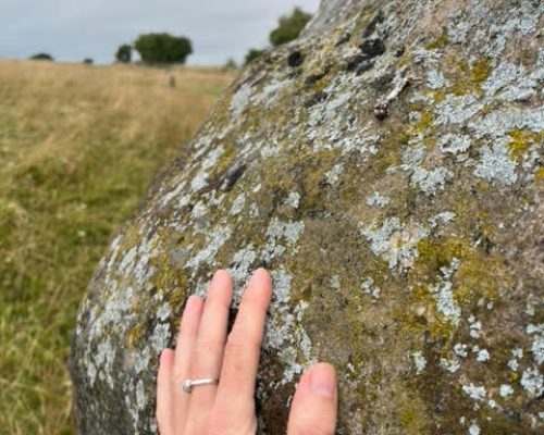 natur-bild-1